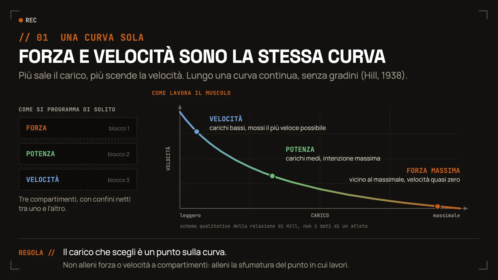 Schema qualitativo della relazione forza-velocità di Hill (1938): sull’asse orizzontale il carico, da leggero a massimale, sull’asse verticale la velocità. La curva scende in modo continuo, senza gradini: ai carichi bassi domina la velocità, ai carichi medi mossi con intenzione massima la potenza, vicino al massimale la forza massima, con velocità quasi zero. A sinistra, per confronto, il modello a caselle con tre blocchi separati di forza, potenza e velocità. Non sono dati di un atleta reale.