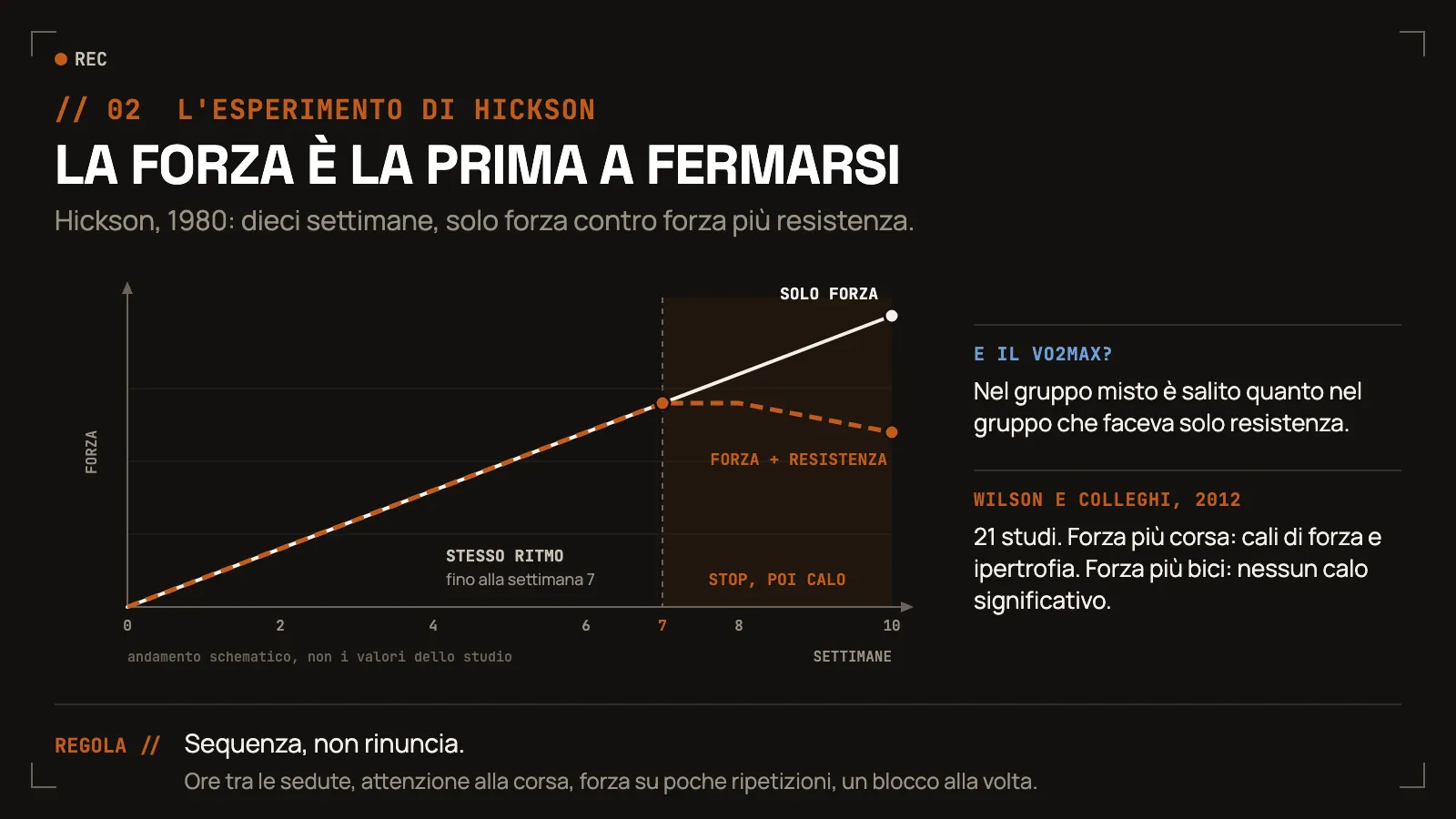 Andamento schematico della forza nelle dieci settimane dello studio di Hickson (1980), non i valori dello studio. Il gruppo che allenava solo la forza cresce in modo lineare per tutte le dieci settimane. Il gruppo che allenava forza e resistenza tiene lo stesso ritmo fino alla settimana 7, poi si ferma e nelle ultime due settimane cala, mentre il suo VO2max sale quanto nel gruppo che faceva solo resistenza. A lato, la metanalisi di Wilson e colleghi (2012) su 21 studi: forza più corsa porta cali di forza e ipertrofia, forza più bici nessun calo significativo.